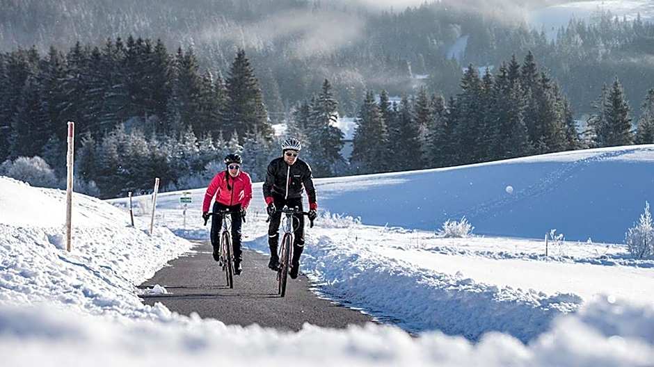 Moselstern Hotel Brixiade &Triton