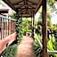 Tamborine Mountain Bed & Breakfast
