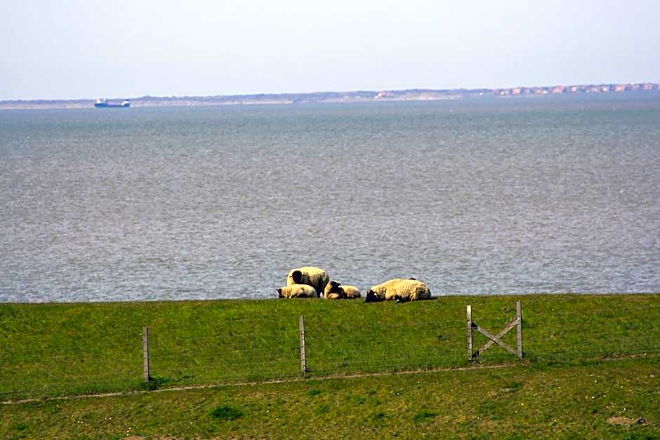 Gasthof Großer Krug