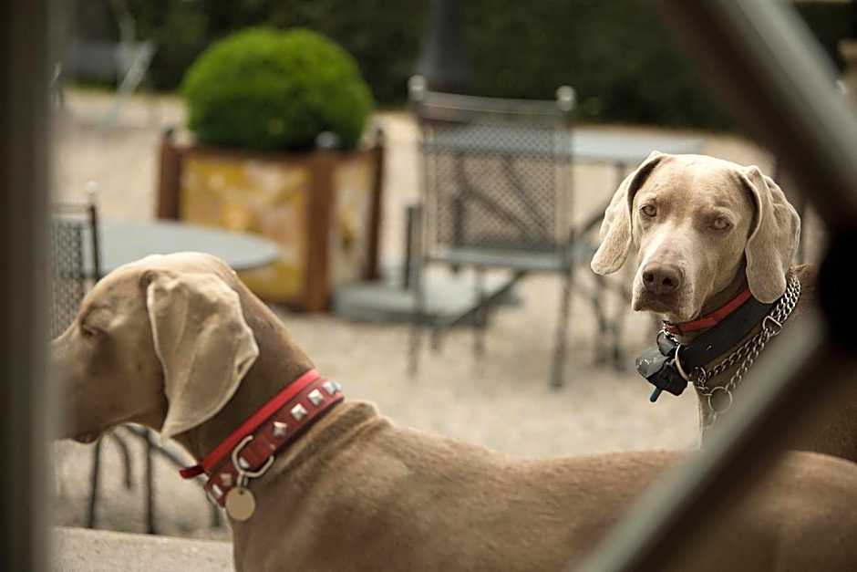 Chateau d'Ygrande - Teritoria