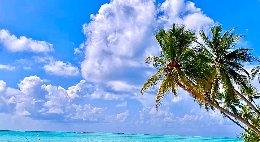 Alimas Holiday Retreat