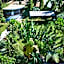 Elanacha Hotel