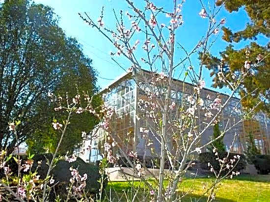 Hotel Parador Zacatecas