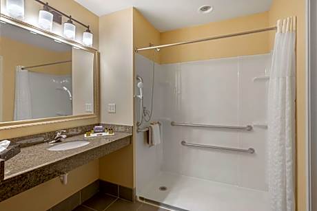 1 King Bed, Mobility Accessible, Communication Assistance, Roll In Shower, Non-Smoking, Full Breakfa