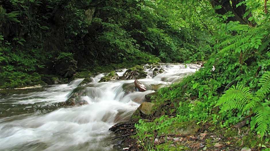 Albergue Olasenea Aterpea