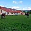 Country Club Żywiec Hotel SPA i Domki Całoroczne