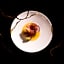 Hotel Wailea, Relais & Chateaux - Adults Only