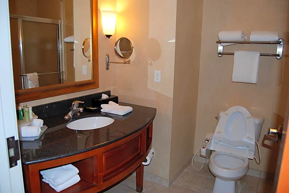 Holiday Inn Express Hotel & Suites Auburn Hills by IHG