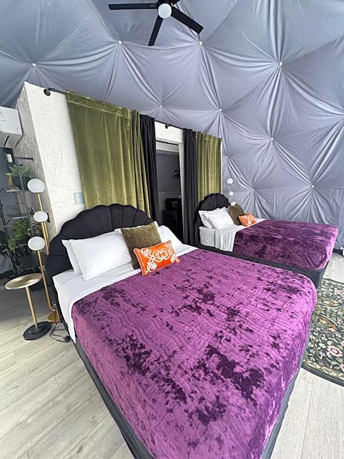 DayDreamer Domes