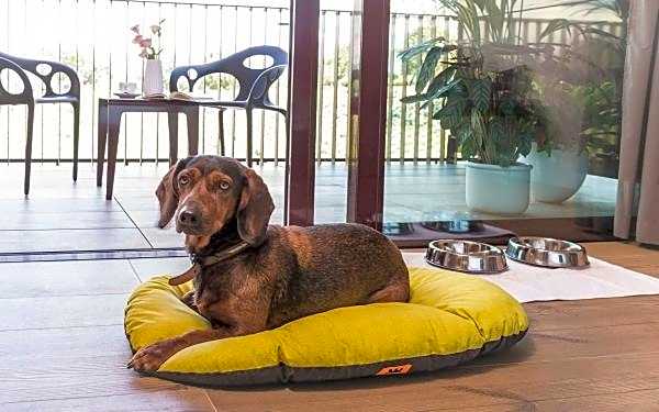 Villaverde Hotel Spa&Golf Udine