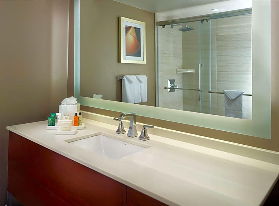 Hilton Atlanta Northeast