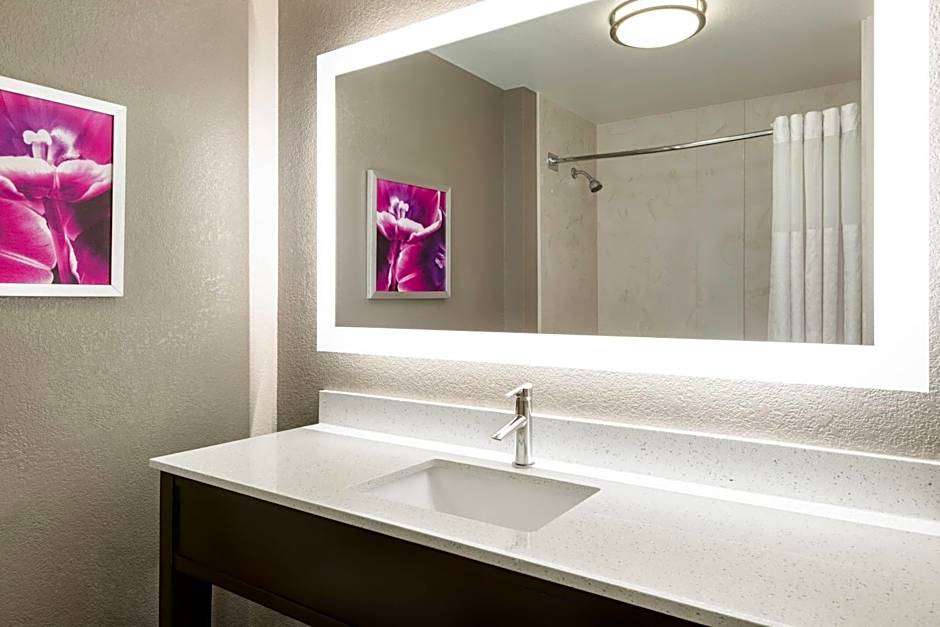 La Quinta Inn & Suites by Wyndham Arlington North Six Flags Drive