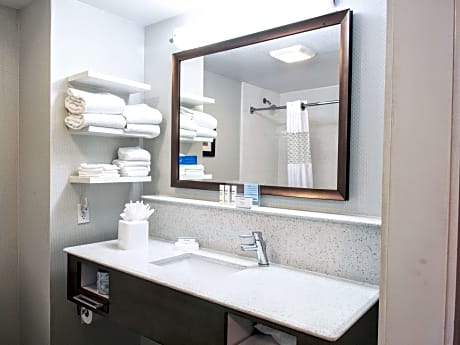 1 King Mobility/Hearing Acc Ri Shower Nosmok