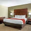 Comfort Inn & Suites Cincinnati Eastgate