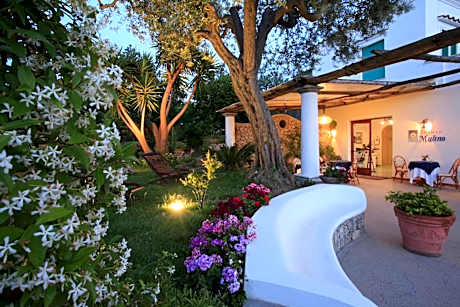 Hotel Al Mulino - Mediterranean Garden Retreat in AnaCapri