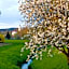 Best Western Aparthotel Birnbachhohe