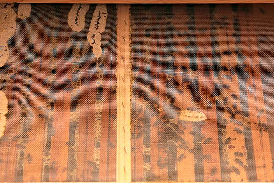 Domki w Smolniku z możliwością apiterapii