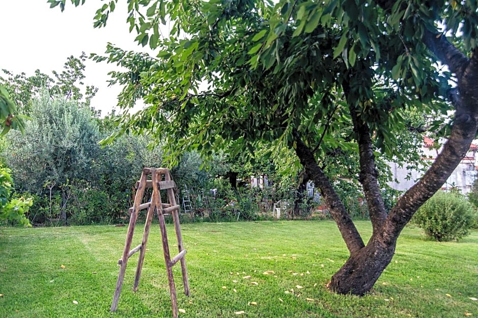 Palazzo Cantarella Stella Cilento