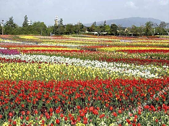 Kuwana Park Hotel