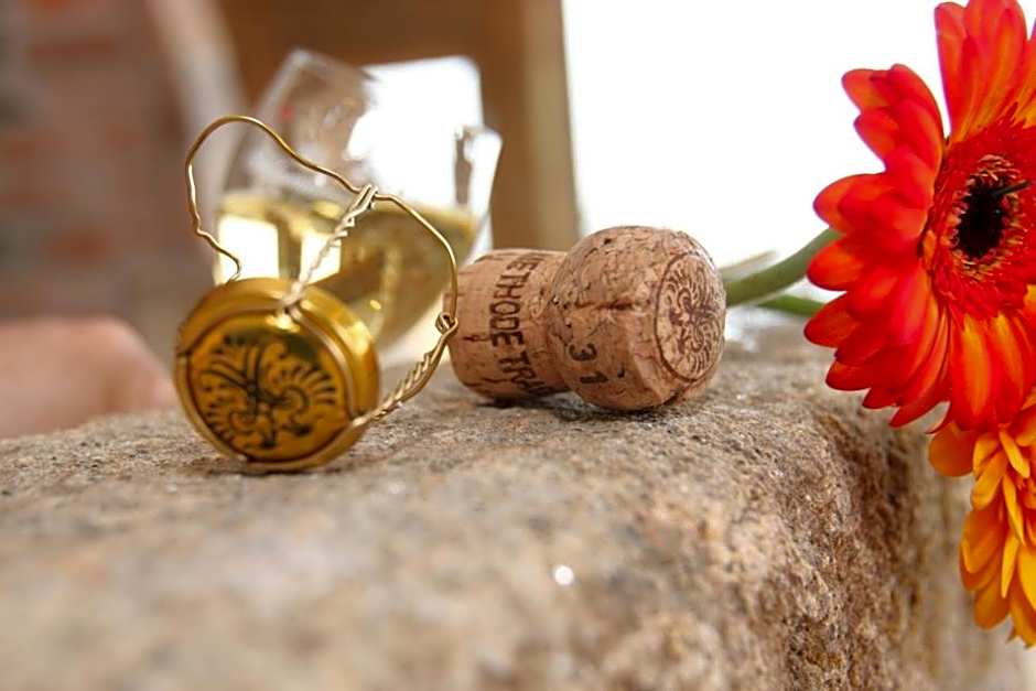 Schönblick Hohenbogen