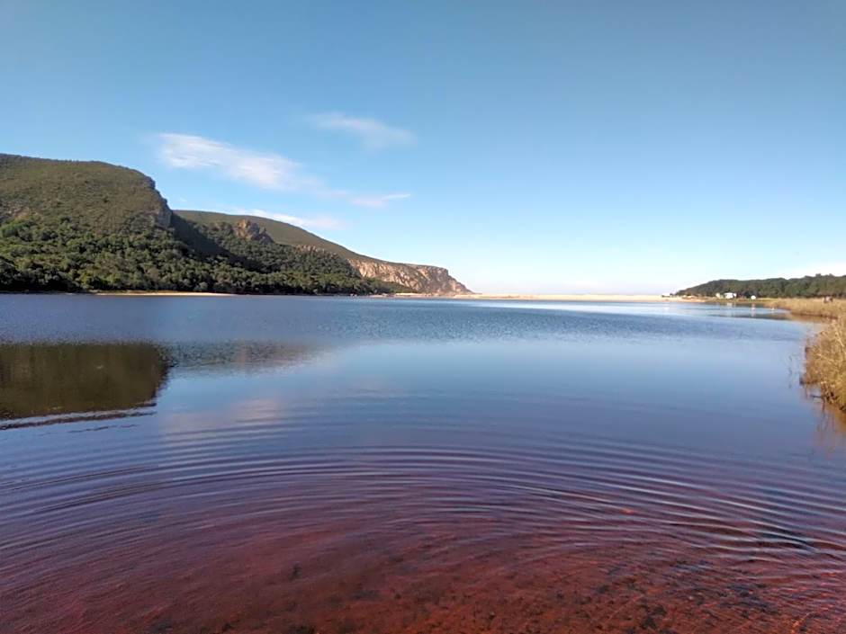 Rainforest Ridge Eco Resort