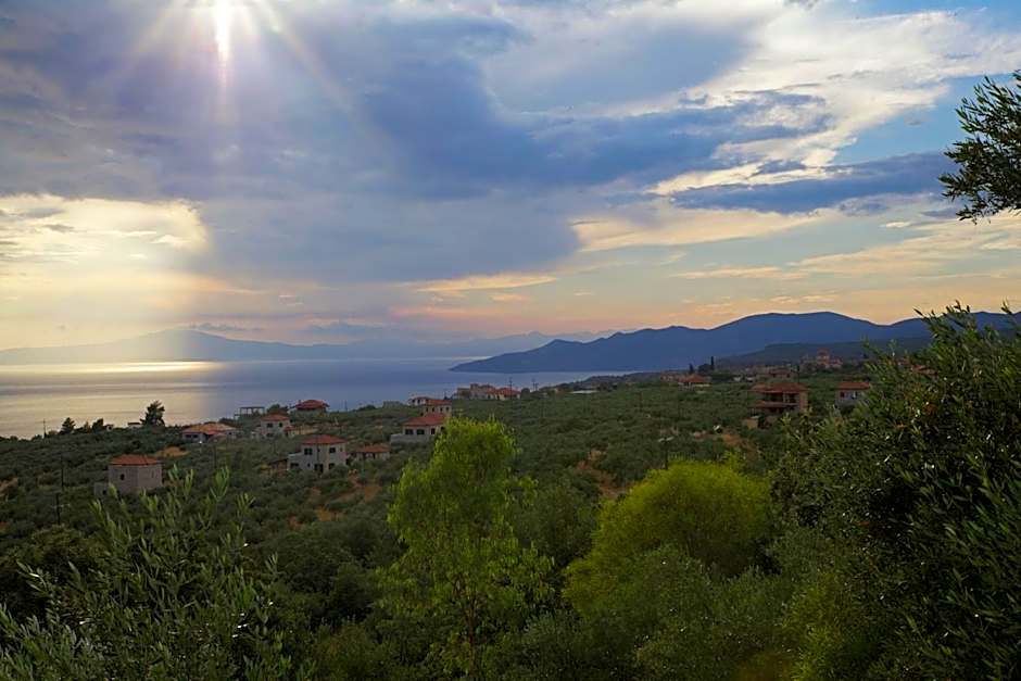 Bio Guesthouse Mani Sonnenlink