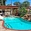 Comfort Suites Jewett