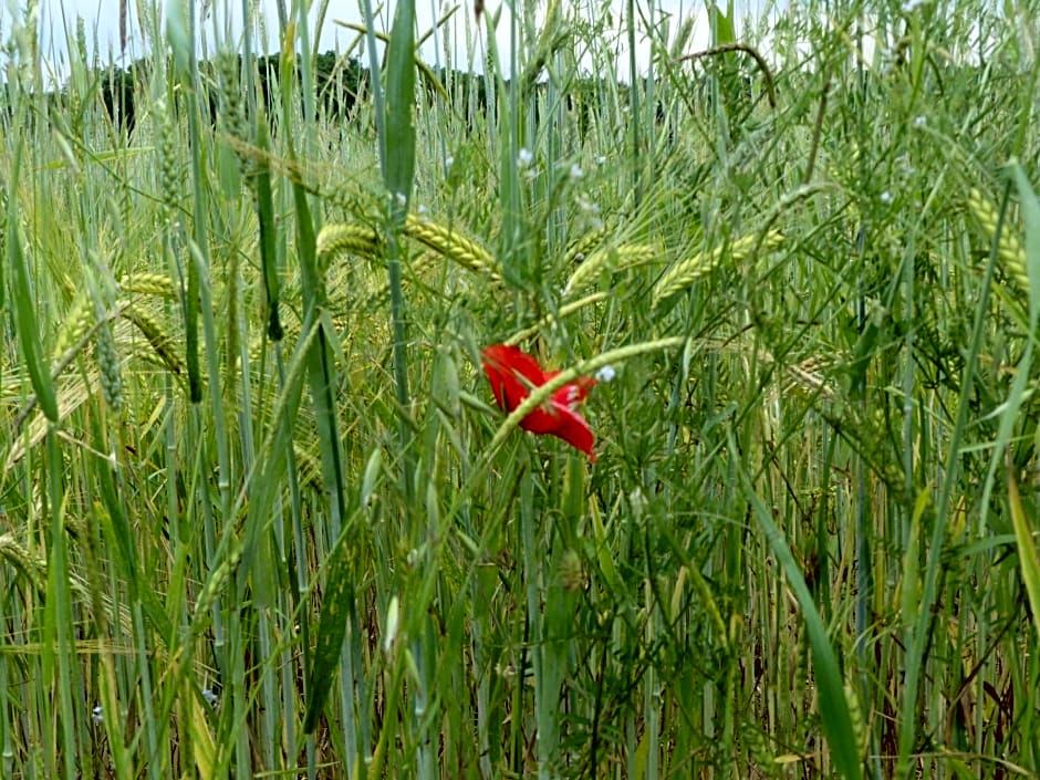 Les Damayots refuge familial 10 mn du Pal