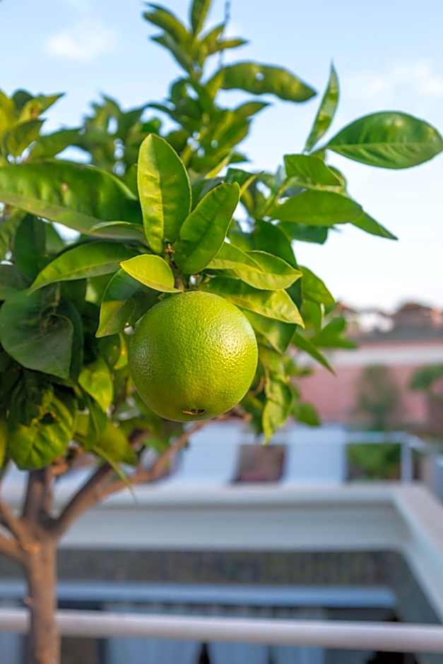 Riad Le Coq Berbère