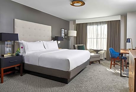 1 King Bed Guest Room