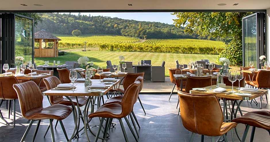 Denbies Vineyard Hotel