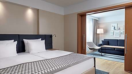 1 Double Premium Accessible Sofa Bed