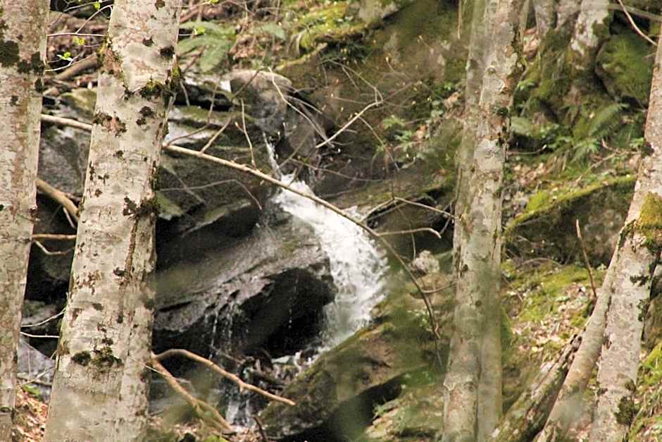 Locanda Dei Baroni - Antica Dimora