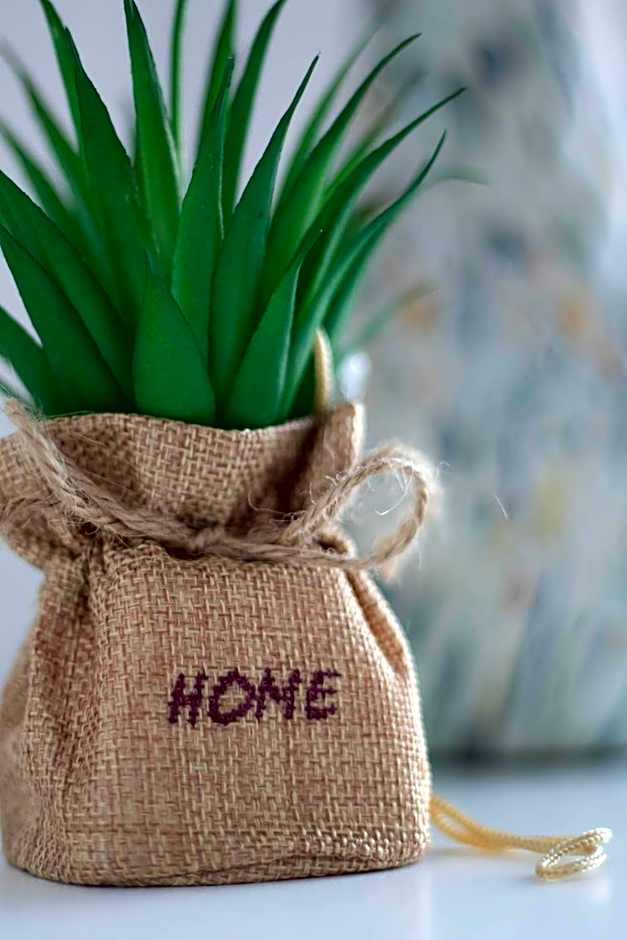 Vila Douro Guesthouse