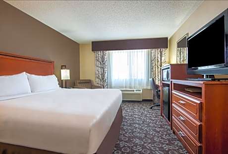 Standard King Room