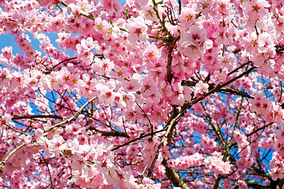 Holiday Inn - the niu Form Stuttgart Feuerbach By IHG