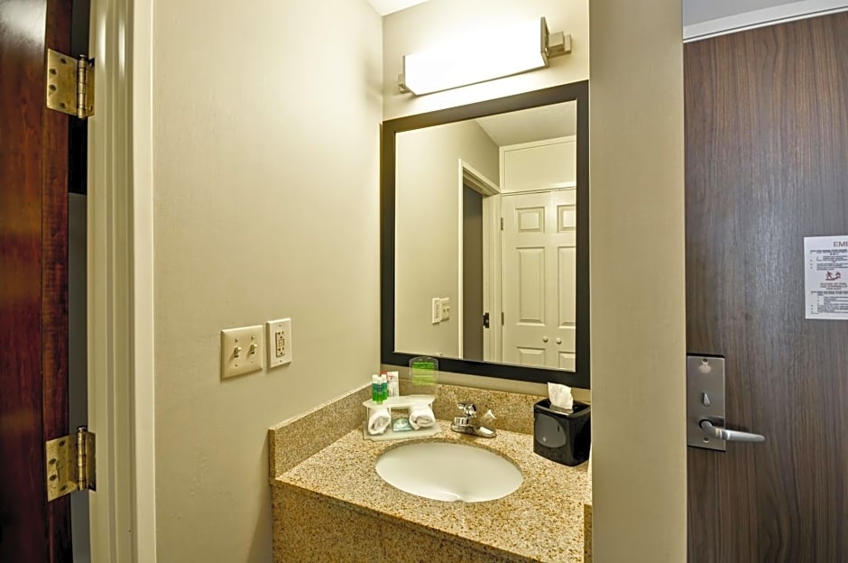 Holiday Inn Express Romulus / Detroit Airport, an IHG Hotel