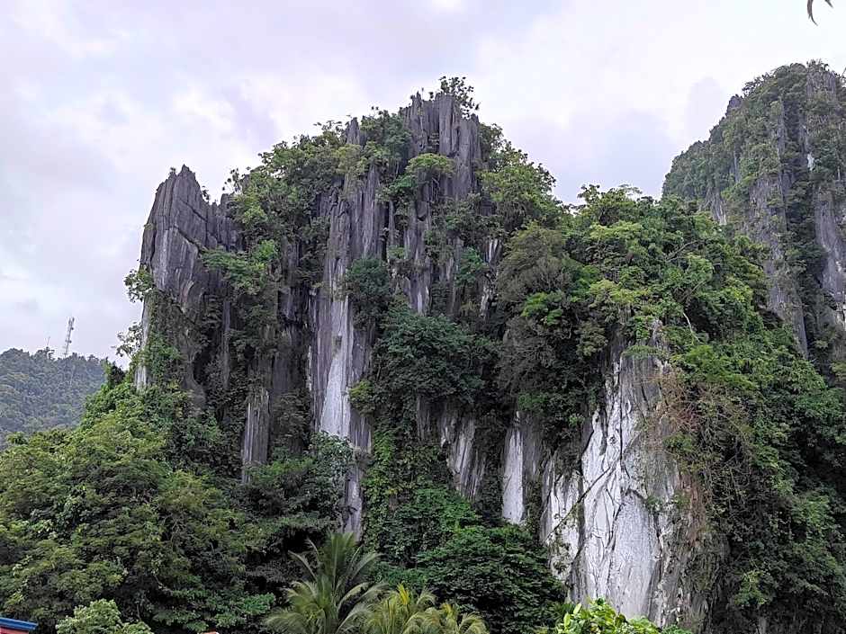 Alocasia Inn - El Nido