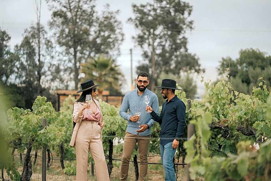 Quinta Nicolás Valle de Guadalupe