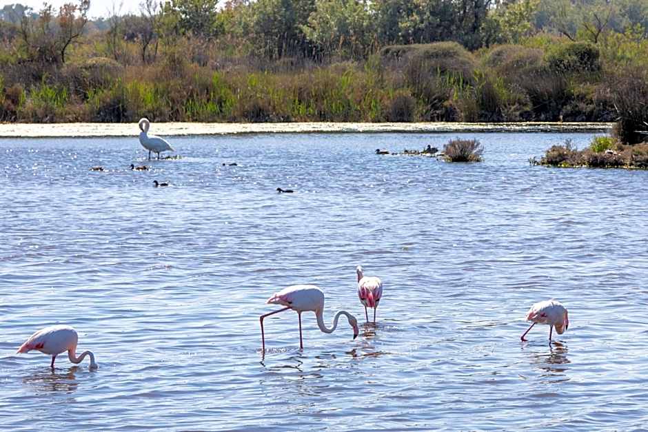 SOWELL Family Les Amandiers