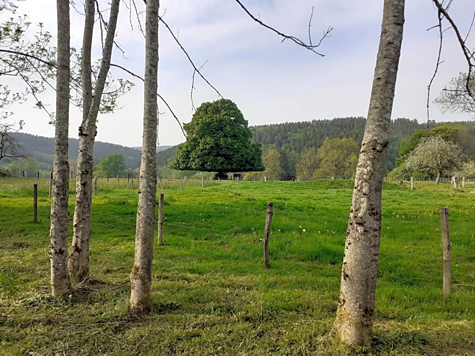 Le repos du Nomade B&B 7 personnes