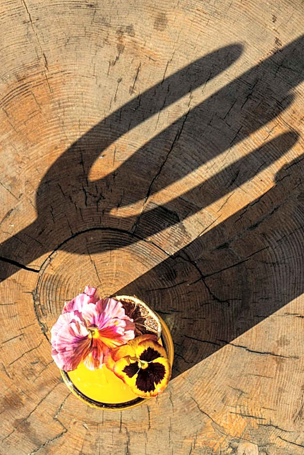 Hollywood Volume, a Tribute Portfolio Hotel