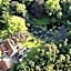 Buitenplaats Erve Hulsbeek