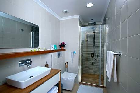 Superior Twin Room  with Balcony and Garden View