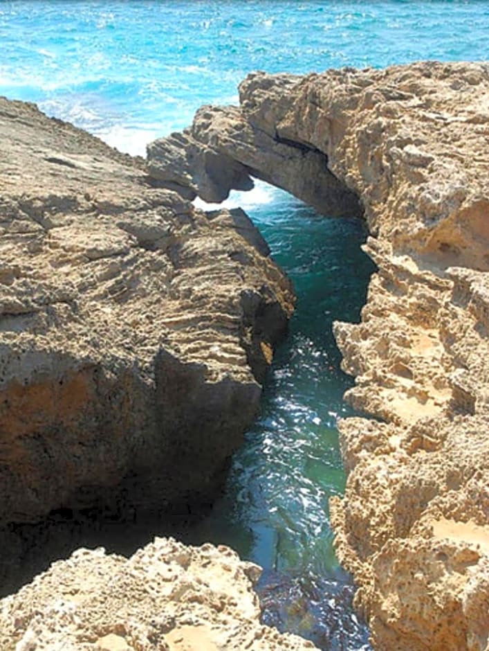 Danielle boutique suite