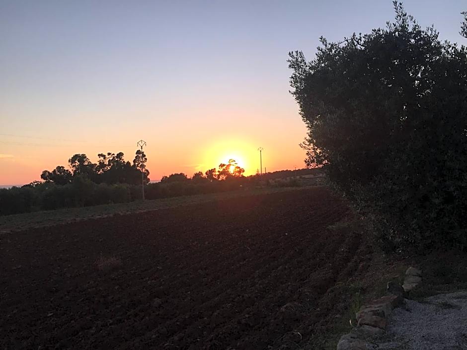 On Holiday Between Sky And Sea geco Di Campiglia pet friendly big garden