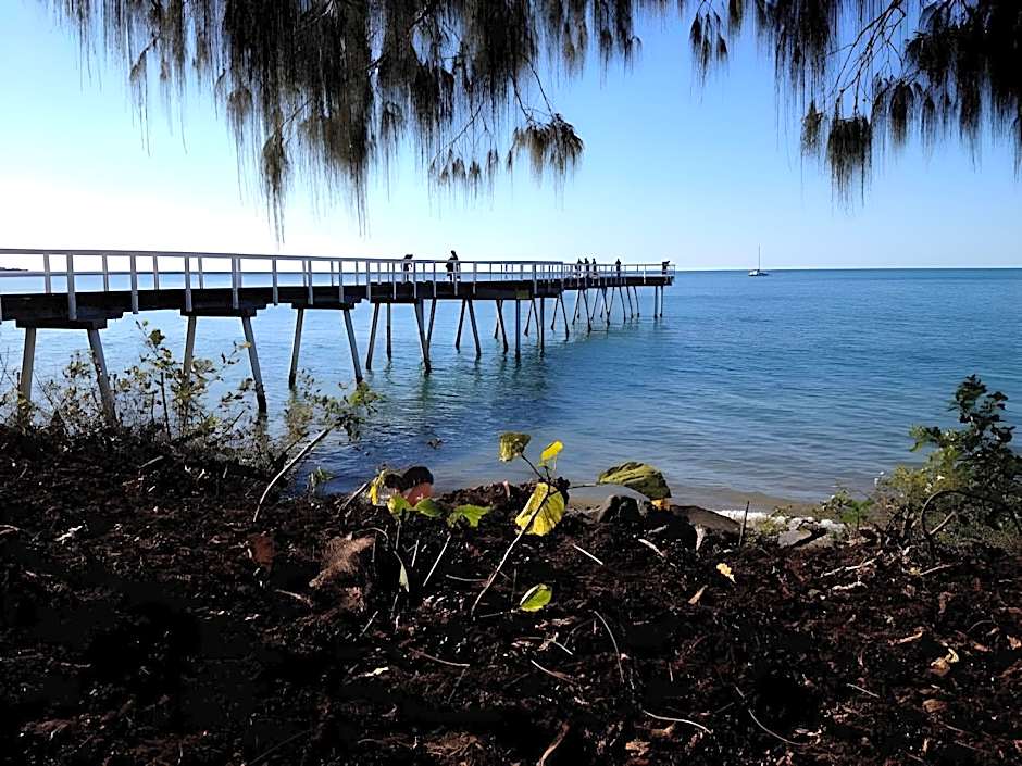 Coconut Palms on the Bay