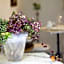Corte delle Camelie Bed and Breakfast