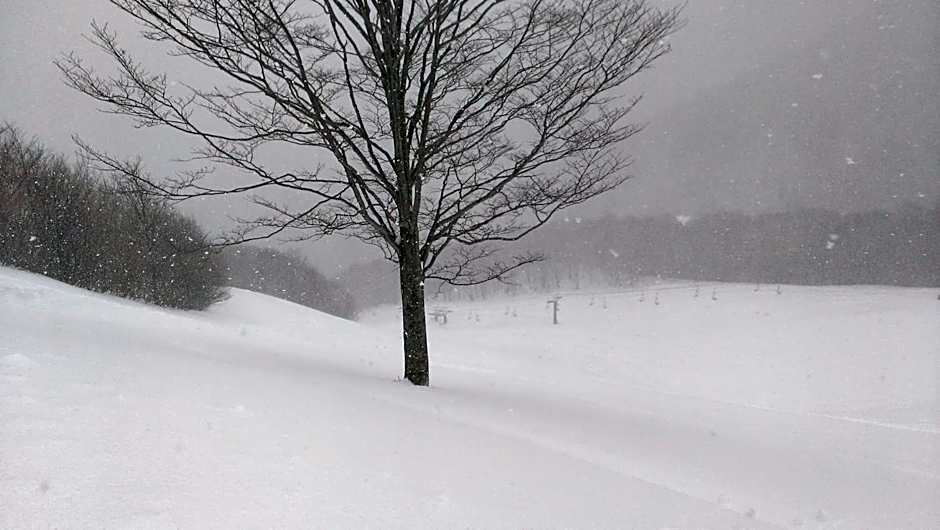 Tanigawa Valley Lodge & Coffee Roastery