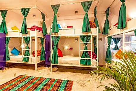 Bed in 8 Bed Mixed A/C Dormitory Room with Ensuite Bathroom